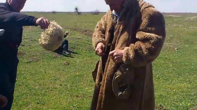 КУНДЫ КУТАН !!! БАРАЗДА !!!