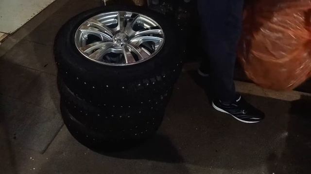 Viatti Brina Nordico. Спустя 2 года