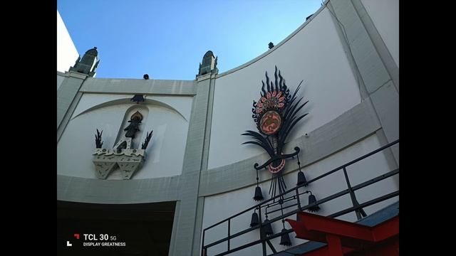 TCL 30 5G | Camera Review in 2023! смотреть онлайн