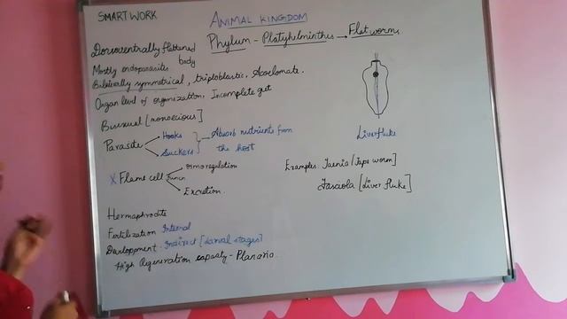 Phylum - Platyhelminthes | Animal kingdom | Class 11 NCERT | смотреть онлайн