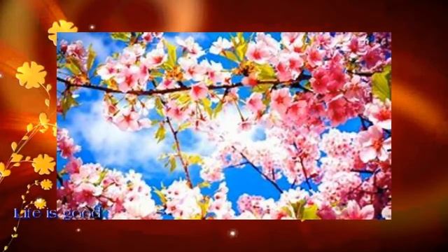 Заговор, чтобы живущие с вами близкие с "умом" распоряжались деньгами ! смотреть онлайн