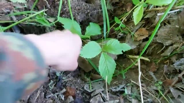 Металлокоп в невыносимую жару на вездеходе ЗИС-5. Коп металлолома. смотреть онлайн