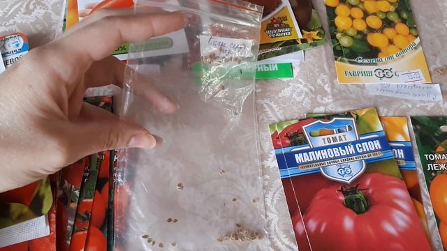 Обзор сортов томатов для посадки в 2019 г смотреть онлайн