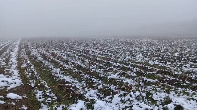 На поиски старины по первому снегу смотреть онлайн