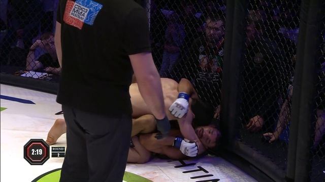 Мишель Перейра Vs. Абубакар Вагаев | Michel Pereira Vs. Abubakar Vagaev | WFCA 17