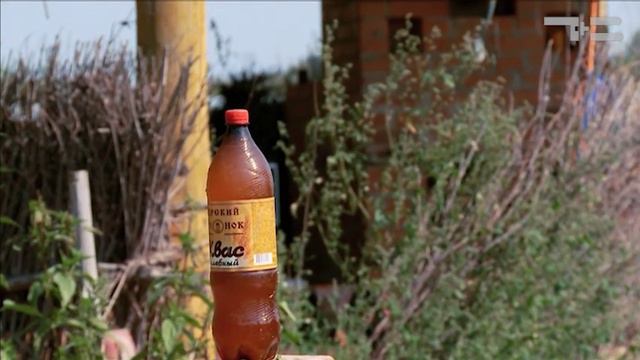 Учись, казак - атаманом будешь! - "Утро с вами" 28.08.2017 смотреть онлайн