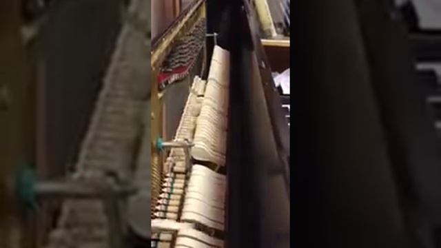 Хорошая песенка! Г.Портнов «По рекам и каналам Петербурга» смотреть онлайн