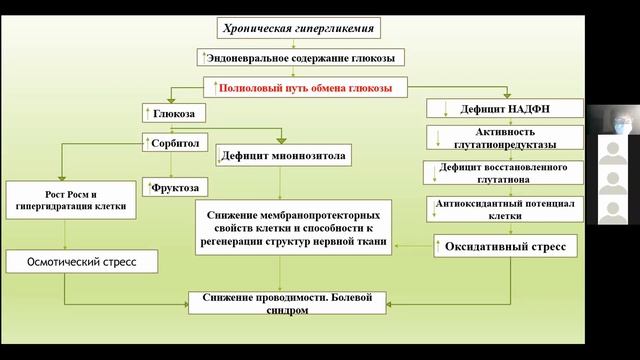 Конференция, посвященная Всемирному дню борьбы с диабетом 22.11.2020 смотреть онлайн