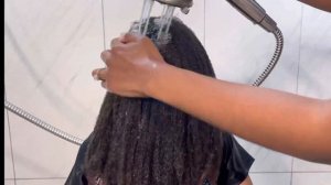 FULL wash day for little girls | Thick Curly Hair | Innersence Organic Beauty Product Review