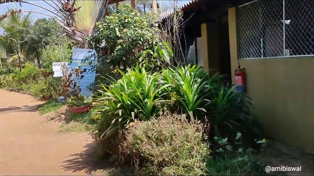 LOTUS ECO RESORT KONARK| MARINE DRIVE| beach resort in Odisha|Odisha tourism| FULL TOUR...... смотреть онлайн