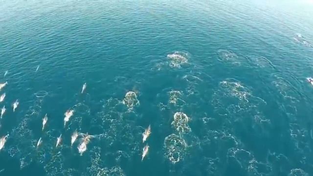10 НАСТОЯЩИХ РУСАЛОК СНЯТЫХ НА КАМЕРУ смотреть онлайн