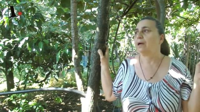 Жизнь в Биосфере