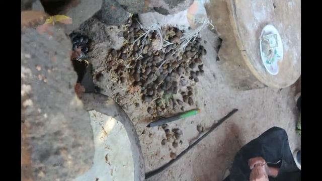 Египет Люксор لأقصر Luxor