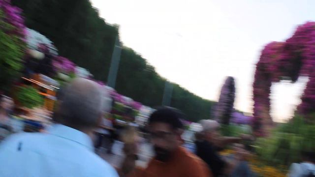 ОАЭ 🇦🇪 АРАБСКИЕ ЭМИРАТЫ 🇦🇪 ДУБАЙ ПАРК ЧУДЕС( ПАРК ЦВЕТОВ) ЧУДО В ПУСТЫНЕ 7 смотреть онлайн