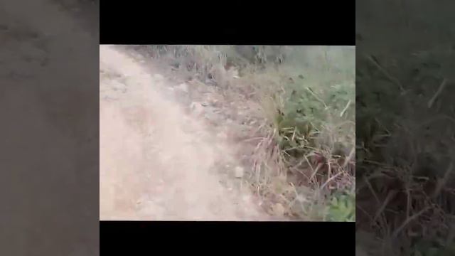 LIGASPAKA OF MINLASAG ,SIBUTAD ZN смотреть онлайн