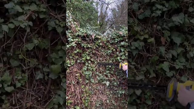 Mini electric hedge strimmer cordless | More new toys #powertools смотреть онлайн