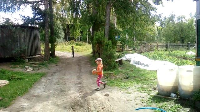 Дешёвый #выгул #для #кур своими руками