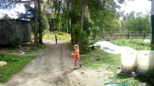Дешёвый #выгул #для #кур своими руками
