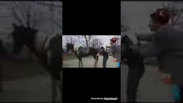 Каха смотреть онлайн