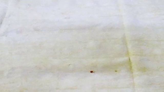 Кулинарные хитрости