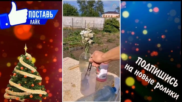 УНИЧТОЖЕНИЕ СОРНЯКОВ смотреть онлайн