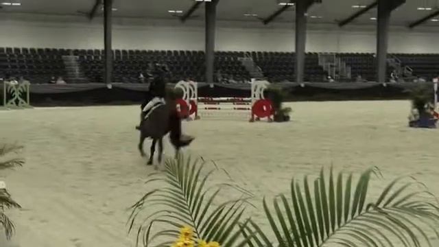 Video of HH NARCOS DU MARAIS ridden by OLIVIA DARNELL from ShowNet! смотреть онлайн