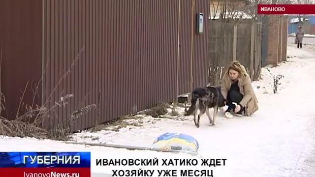 ИВАНОВСКИЙ ХАТИКО ЖДЕТ ХОЗЯЙКУ УЖЕ МЕСЯЦ