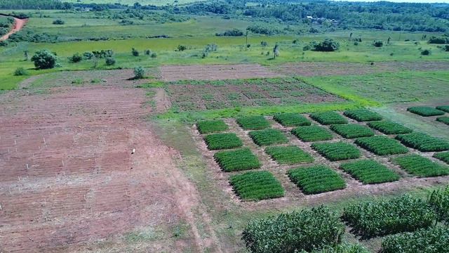 DIA DE CAMPO - FCP UNCA FILIAL JUAN MANUEL FRUTOS смотреть онлайн