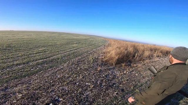 Охотимся на пушного зверя по чернотропу. Первая охота с IMPALA Plus. смотреть онлайн