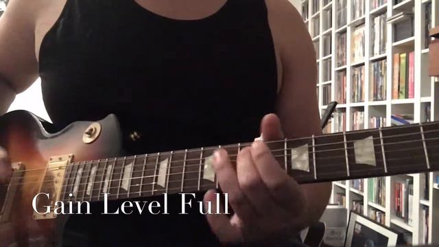 Besession Music Gibson Les Paul Studio Fireburst/Randall RG150 G3 Plus смотреть онлайн