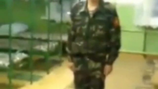 команда отбой смотреть онлайн