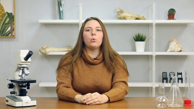 Экозабота. Занятие 1. Введение. Что такое экология? смотреть онлайн