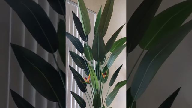 Artificial Bird Of Paradise Plants