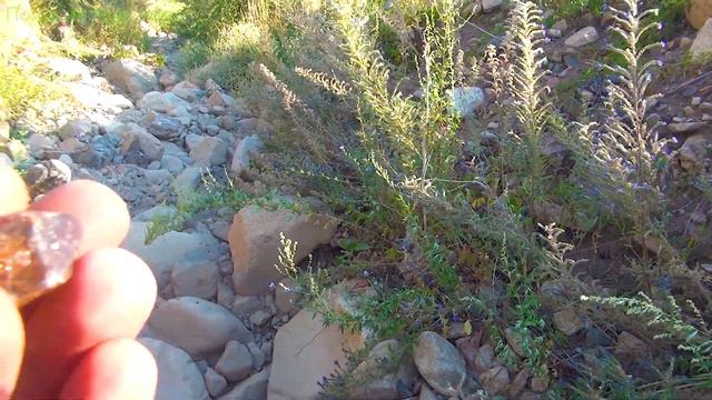 Хочу найти коричневый бриллиант смотреть онлайн