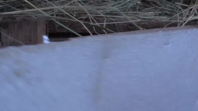 Утепление маточника. Запоздалый обзор. смотреть онлайн