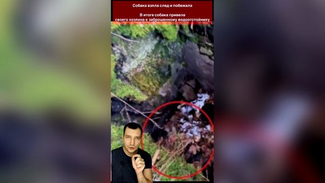 МАТЬ ДВОИХ ДЕТЕЙ НАШЛИ СПУСТЯ 60 ЛЕТ НА АЛЯСКЕ смотреть онлайн