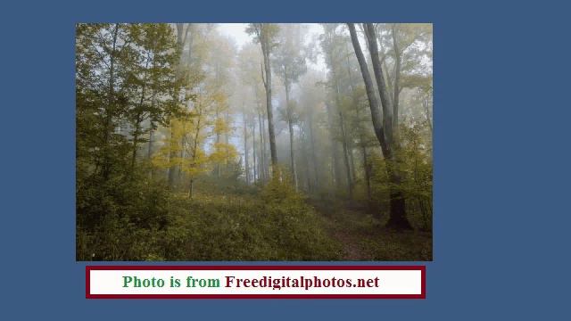 Sound sample composition #2 (set to nature photos) Christmas 2012 смотреть онлайн