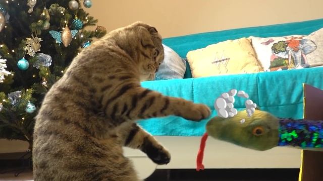 Cat Tales -Rory the Hero saves Princess - Obstacles course for my kitten смотреть онлайн