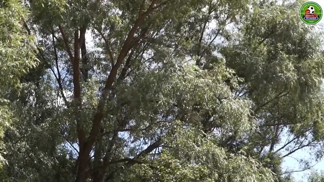 Гостиница «АМАКС Парк-отель»