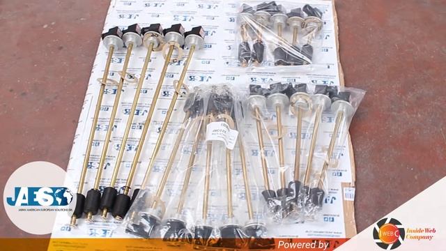ELETTROTEC LM2FA (IN STOCK IN JAES) Level switches - Livellostati - Interruptor de nivel смотреть онлайн