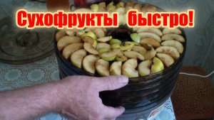 Сушилка для овощей, фруктов и ягод.