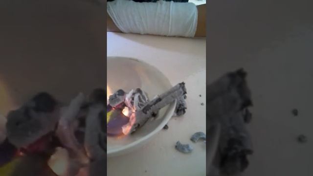 Выращивания змеи смотреть онлайн
