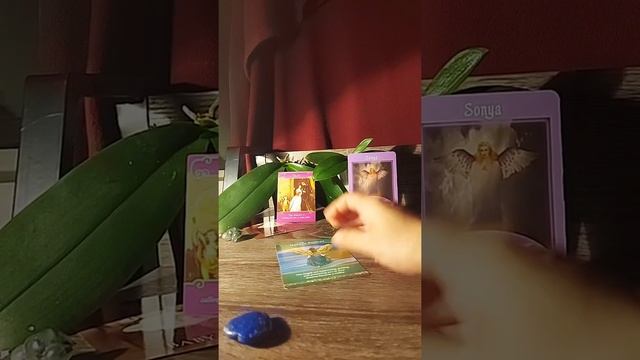 Angel Oracle Card / Animal Spirit Card Weekly Reading Wednesday!!???? Week 6 Nov 10, 2021 смотреть онлайн