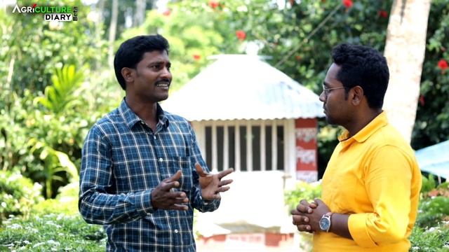মুর্শিদাবাদে বৃহত্তম দেশি মুরগির খামার | Desi Murgi Farming | Local Murgi Farm | Desi Poultry farm смотреть онлайн