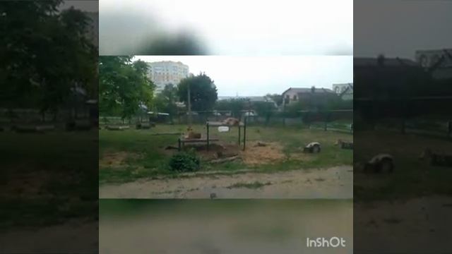 пензенский зоопарк. соонная обезьяна смотреть онлайн