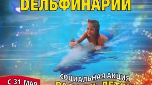 Дельфинарий «Немо» в Нижнем Новгороде