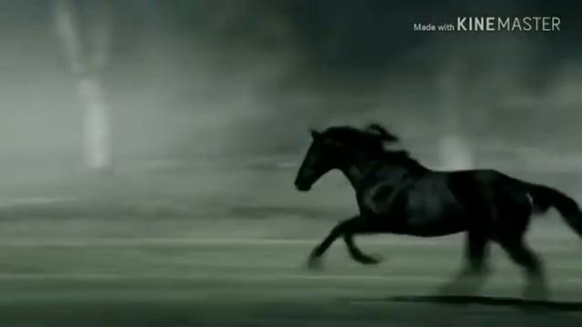 Черная лошадь под мощный трек! смотреть онлайн
