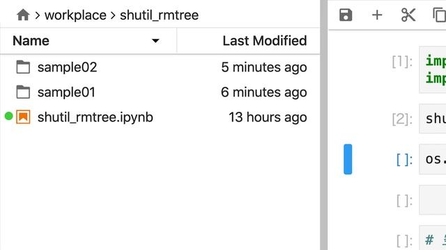 【毎日Python】Pythonでディレクトリをまとめて削除する方法｜shutil_rmtree смотреть онлайн