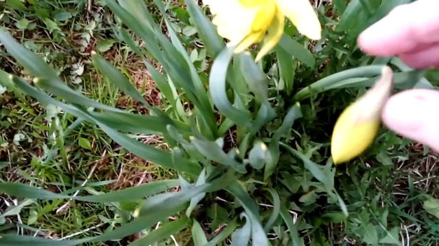 Вечер смотреть онлайн