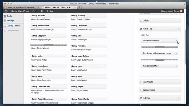 Gantry4 WordPress Widget Variations смотреть онлайн